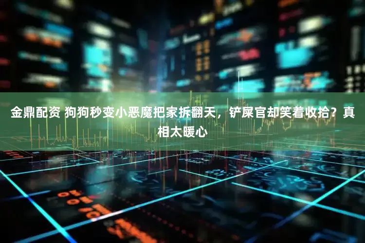 金鼎配资 狗狗秒变小恶魔把家拆翻天，铲屎官却笑着收拾？真相太暖心